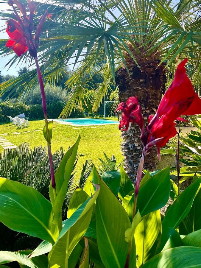 Strelitzia's House With Heated Pool From December 2024, Private Garden And Private Parking & Wi-fi Avola